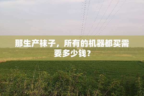 那生产袜子，所有的机器都买需要多少钱？