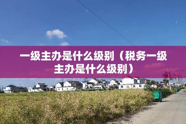 一级主办是什么级别（税务一级主办是什么级别）