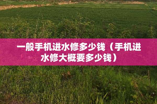 一般手机进水修多少钱（手机进水修大概要多少钱）