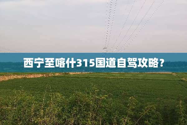西宁至喀什315国道自驾攻略？
