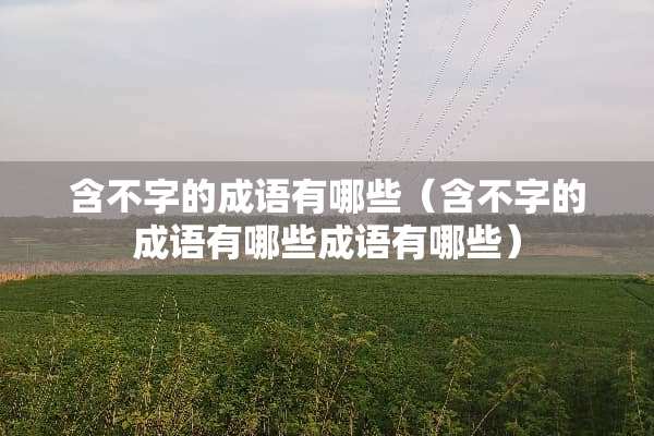 含不字的成语有哪些（含不字的成语有哪些成语有哪些）
