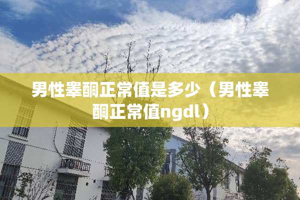 男性睾酮正常值是多少（男性睾酮正常值ngdl）