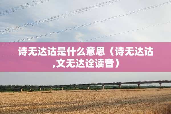 诗无达诂是什么意思（诗无达诂,文无达诠读音）