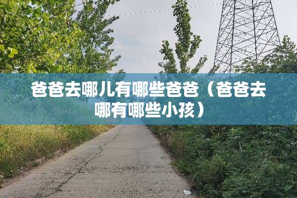 爸爸去哪儿有哪些爸爸（爸爸去哪有哪些小孩）