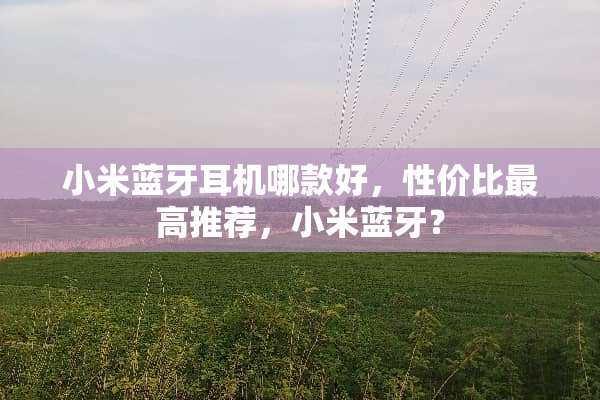 小米蓝牙耳机哪款好，性价比最高推荐，小米蓝牙？