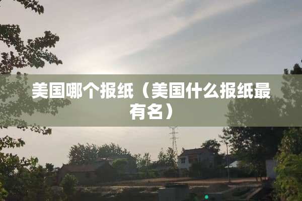 美国哪个报纸（美国什么报纸最有名）