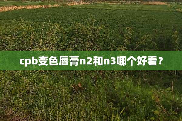 cpb变色唇膏n2和n3哪个好看？