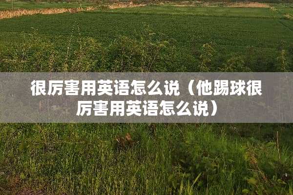 很厉害用英语怎么说（他踢球很厉害用英语怎么说）