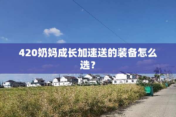 420奶妈成长加速送的装备怎么选？