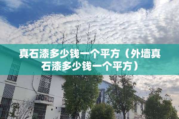 真石漆多少钱一个平方（外墙真石漆多少钱一个平方）