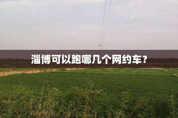 淄博可以跑哪几个网约车？