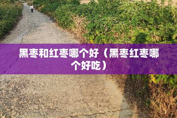 黑枣和红枣哪个好（黑枣红枣哪个好吃）