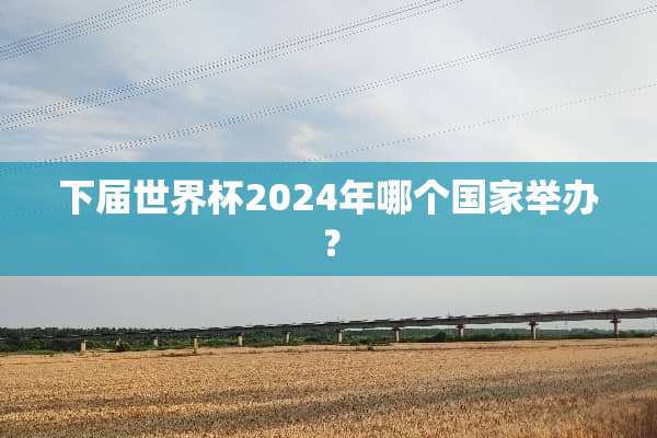 下届世界杯2024年哪个国家举办？