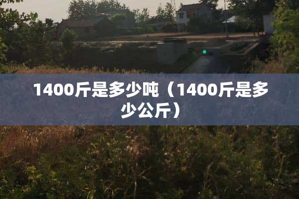 1400斤是多少吨（1400斤是多少公斤）