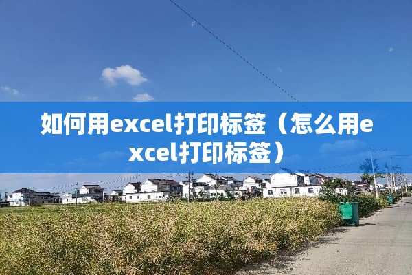 如何用excel打印标签（怎么用excel打印标签）
