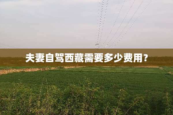 夫妻自驾西藏需要多少费用？