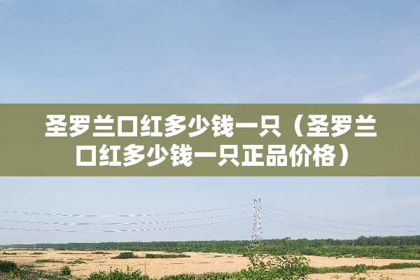 圣罗兰口红多少钱一只（圣罗兰口红多少钱一只正品价格）