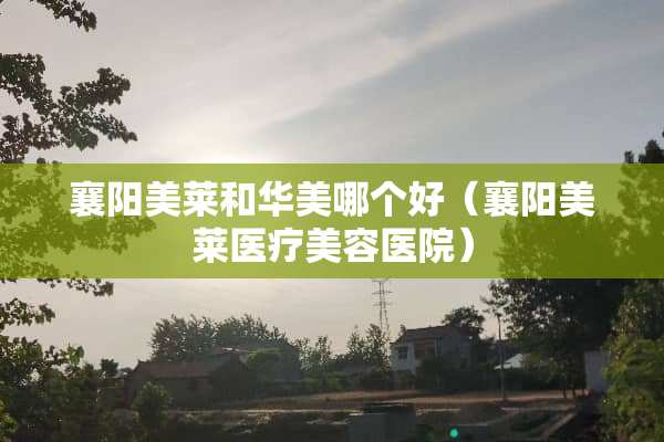 襄阳美莱和华美哪个好（襄阳美莱医疗美容医院）