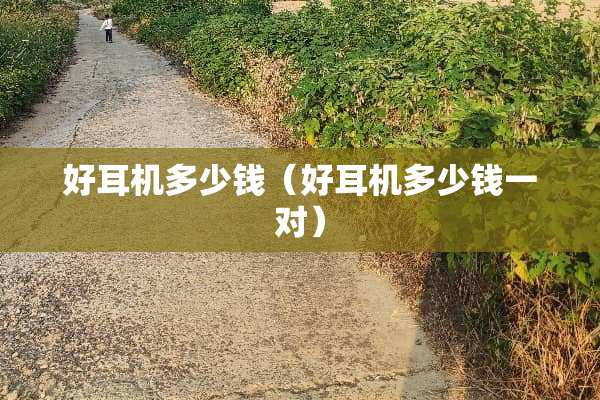 好耳机多少钱（好耳机多少钱一对）