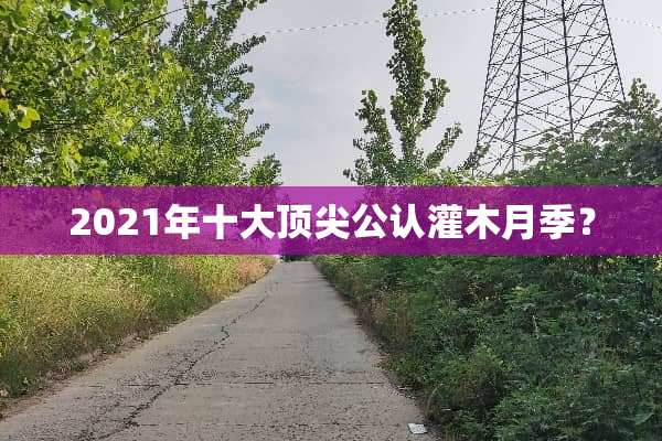2021年十大顶尖公认灌木月季？