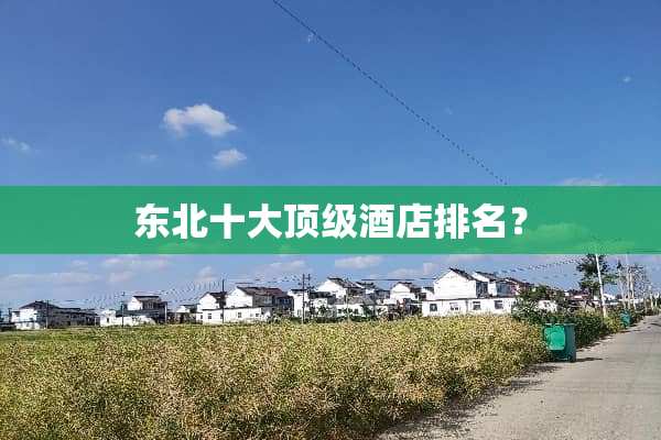 东北十大顶级酒店排名？