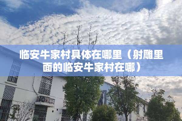 临安牛家村具体在哪里（射雕里面的临安牛家村在哪）