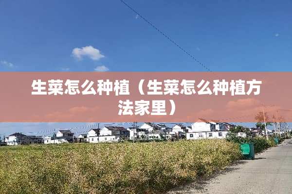 生菜怎么种植（生菜怎么种植方法家里）