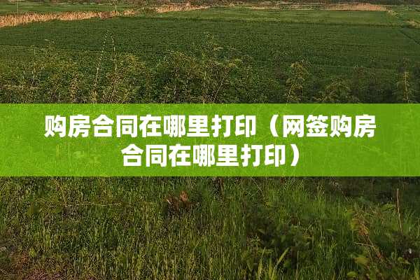 购房合同在哪里打印（网签购房合同在哪里打印）