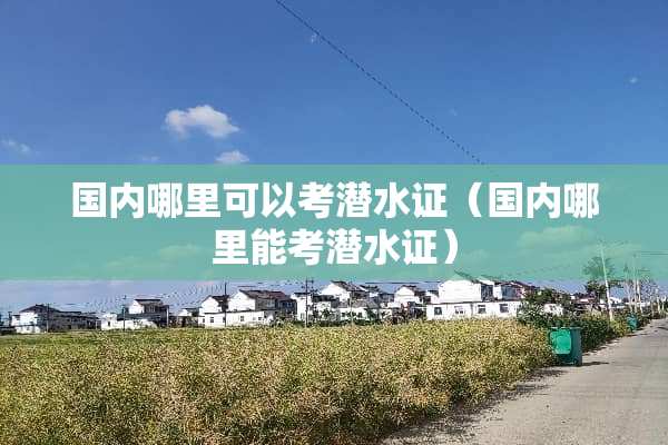 国内哪里可以考潜水证（国内哪里能考潜水证）