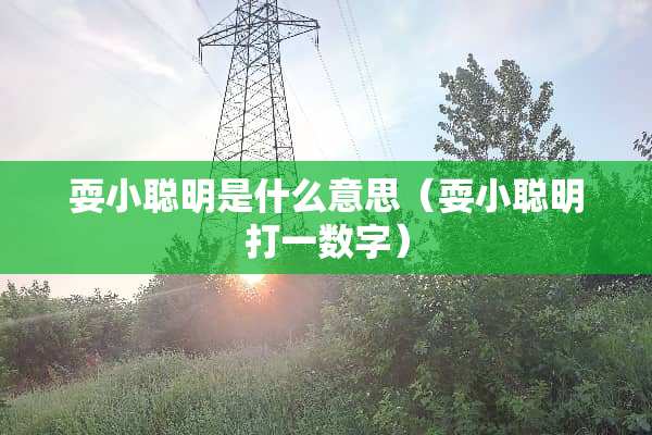 耍小聪明是什么意思（耍小聪明打一数字）
