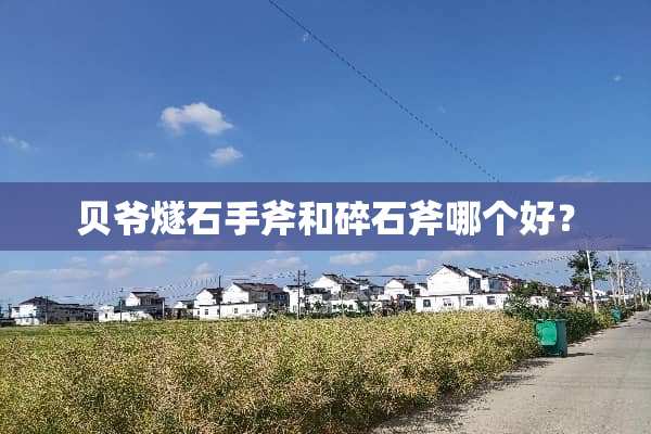 贝爷燧石手斧和碎石斧哪个好？