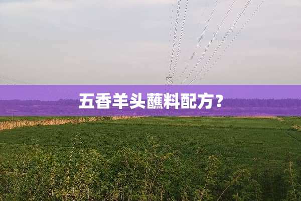 五香羊头蘸料配方？