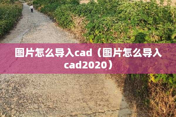 图片怎么导入cad（图片怎么导入cad2020）