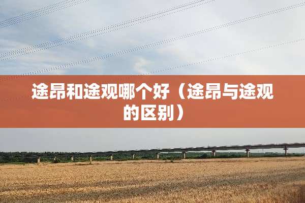 途昂和途观哪个好（途昂与途观的区别）