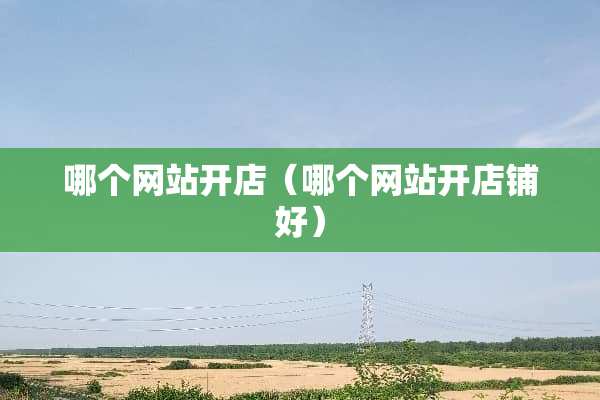 哪个网站开店（哪个网站开店铺好）