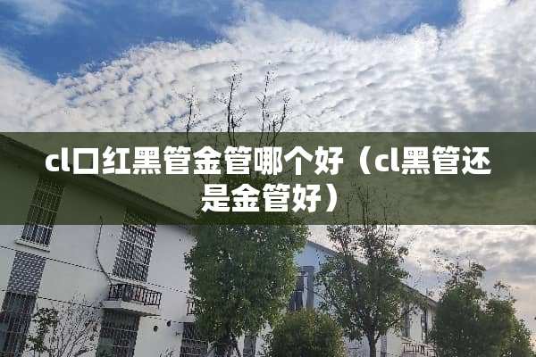 cl口红黑管金管哪个好（cl黑管还是金管好）