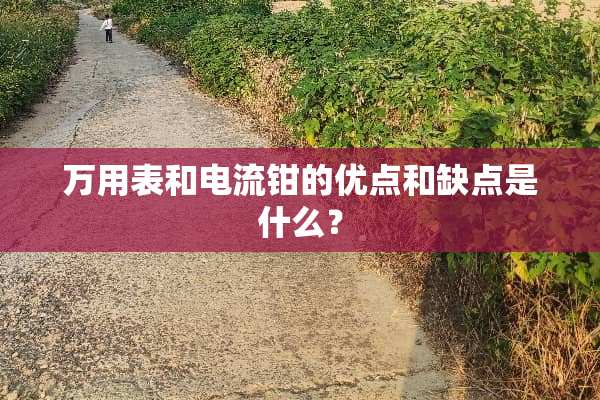 万用表和电流钳的优点和缺点是什么？