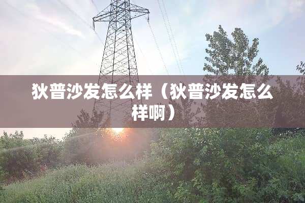 狄普沙发怎么样（狄普沙发怎么样啊）