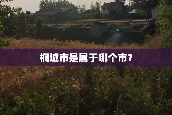 桐城市是属于哪个市？