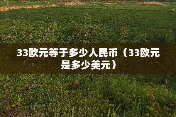 33欧元等于多少人民币（33欧元是多少美元）