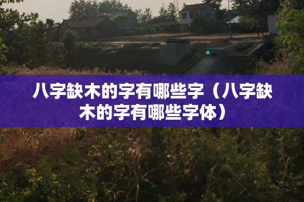 八字缺木的字有哪些字（八字缺木的字有哪些字体）
