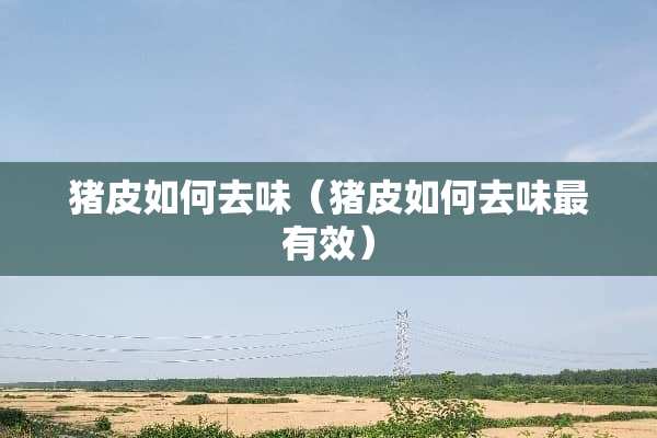 猪皮如何去味（猪皮如何去味最有效）