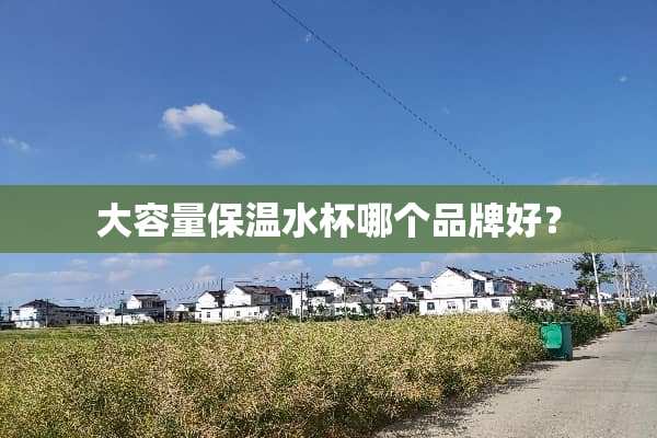 大容量保温水杯哪个品牌好？