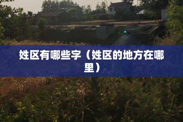 姓区有哪些字（姓区的地方在哪里）
