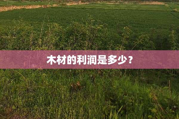 木材的利润是多少？