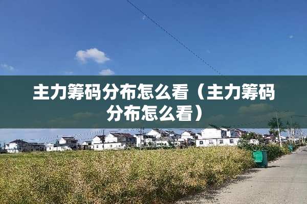 主力筹码分布怎么看（主力筹码分布怎么看）