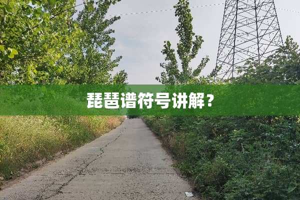 琵琶谱符号讲解？