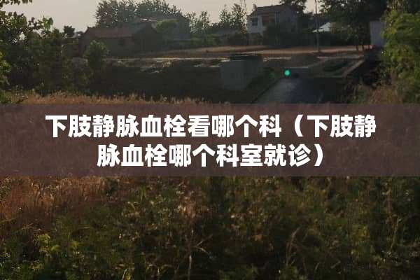 下肢静脉血栓看哪个科（下肢静脉血栓哪个科室就诊）
