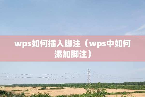 wps如何插入脚注（wps中如何添加脚注）