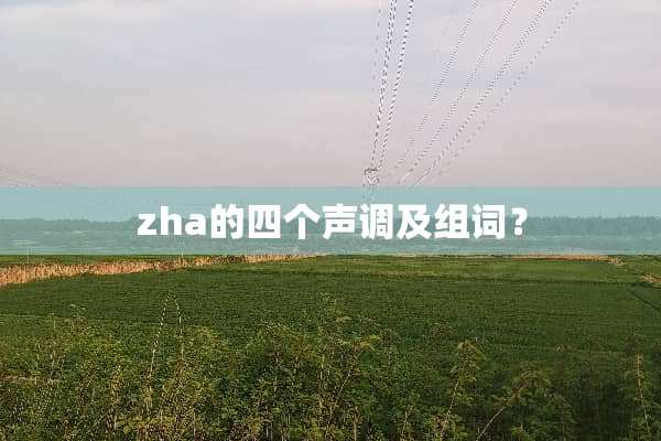 zha的四个声调及组词？